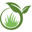 Plant City Lawn Clean Up