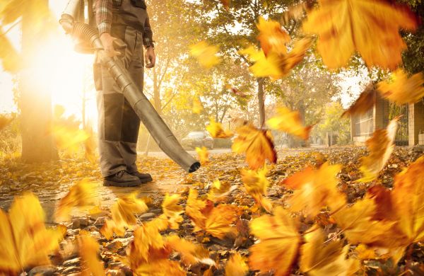 Leaf Blowing Service in Plant City