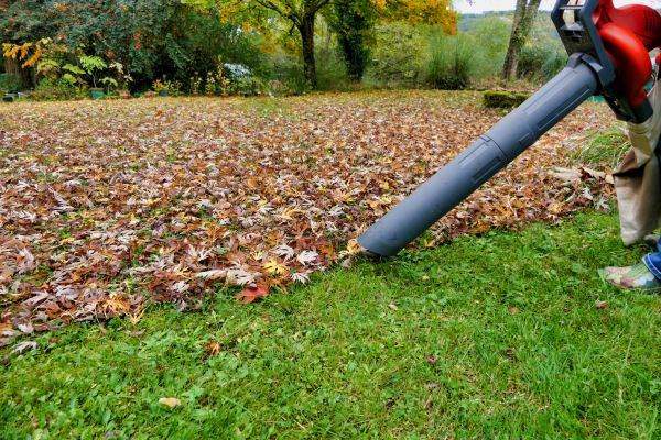 Leaf Vacuuming Service in Plant City