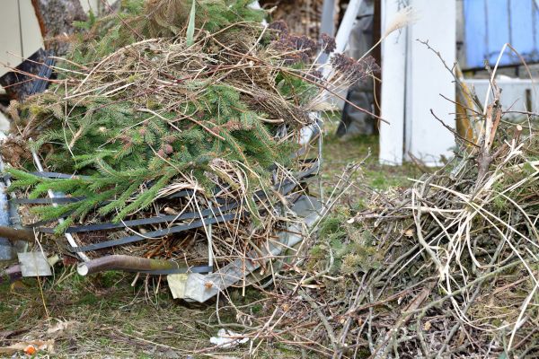 Yard Debris Removal in Plant City