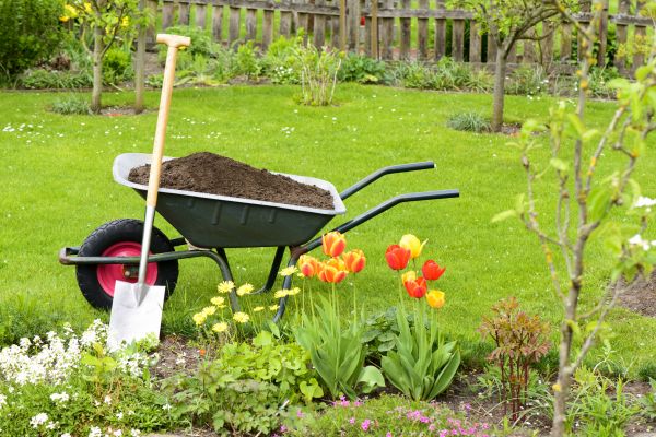 Spring Yard Cleanup in Plant City