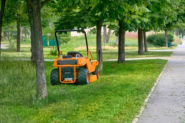 Landscaping Cleanup Service in Plant City