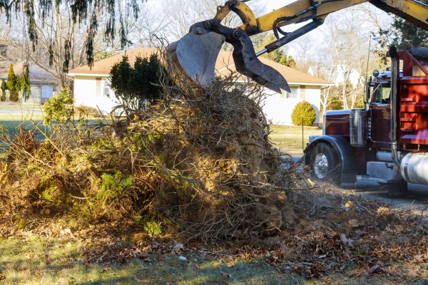Storm Debris Removal in Plant City