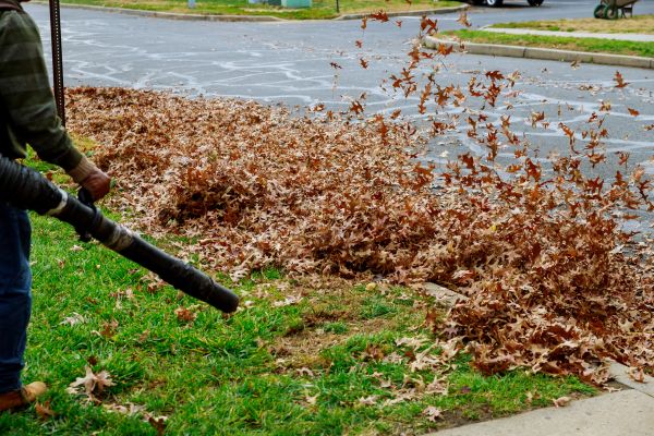 Garden Leaf Removal in Plant City