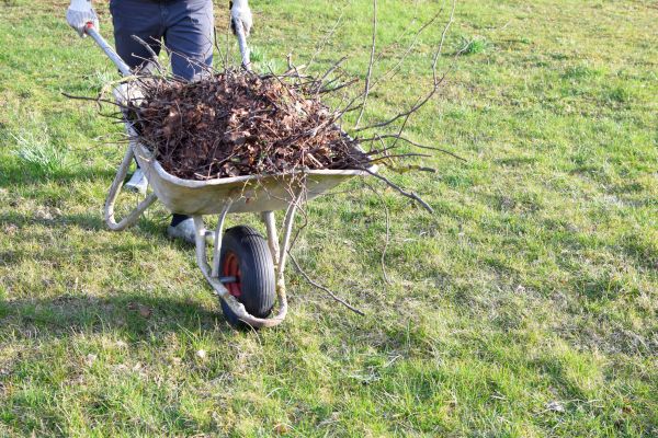 Yard Brush Removal in Plant City
