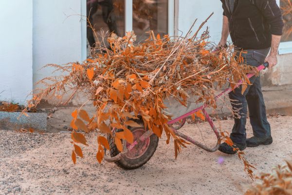 Lawn Debris Cleanup in Plant City