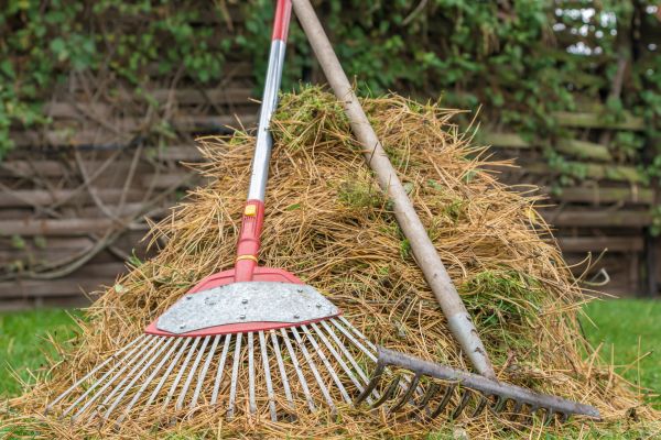 Pine Straw Clearing in Plant City