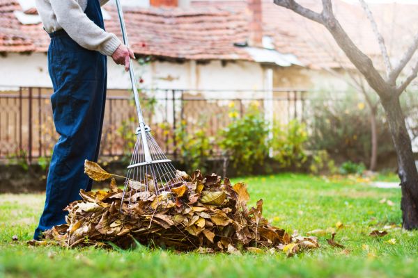 Spring Lawn Cleanup in Plant City