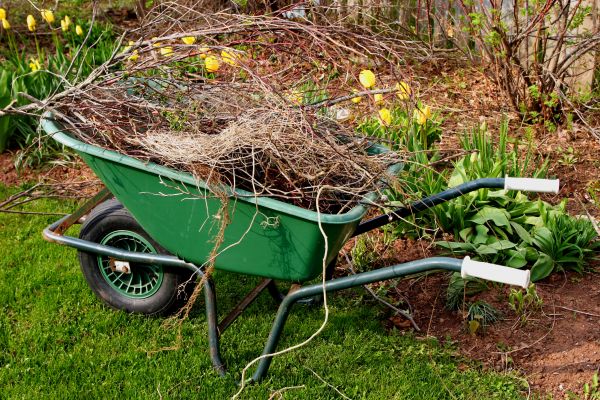 Lawn Waste Removal in Plant City