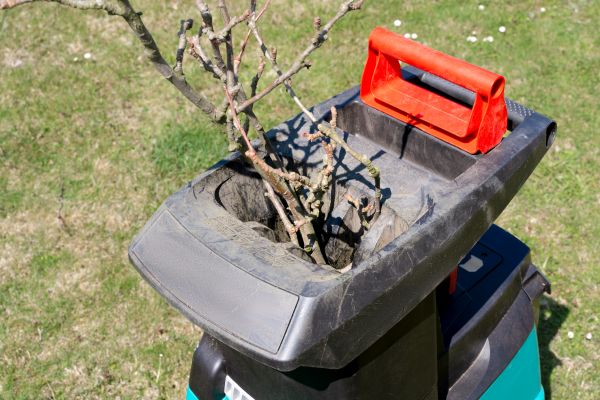 Brush Cleanup Service in Plant City