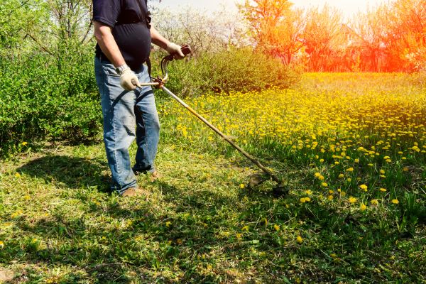 Yard Clearing Service in Plant City