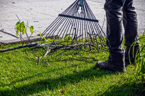 Yard Debris Cleanup in Plant City
