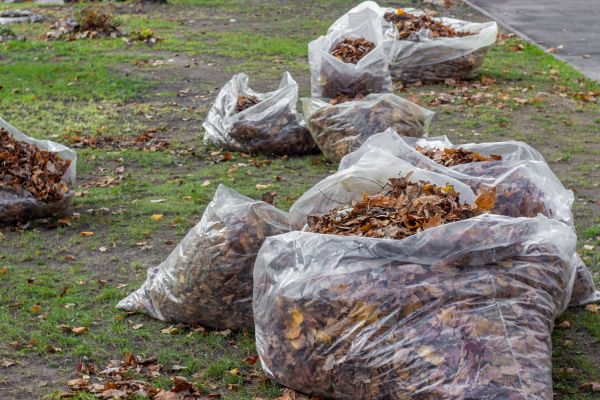 Leaf Pile Disposal in Plant City