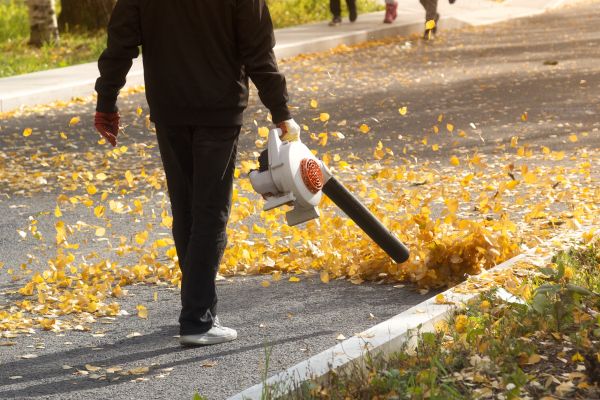 Commercial Leaf Removal in Plant City