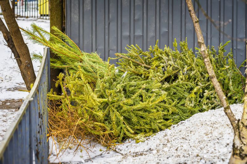 Tree Debris Removal detail