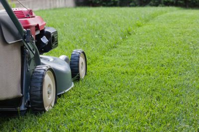 Summer Lawn Maintenance