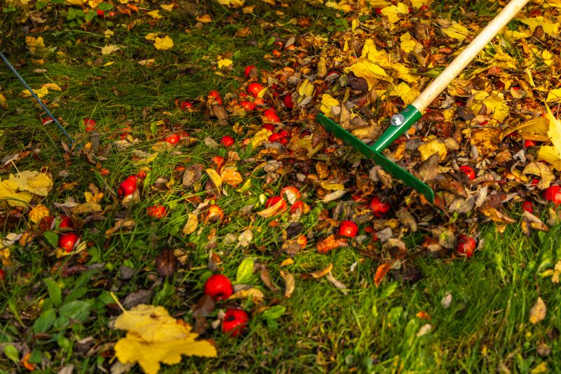 Leaves Raking